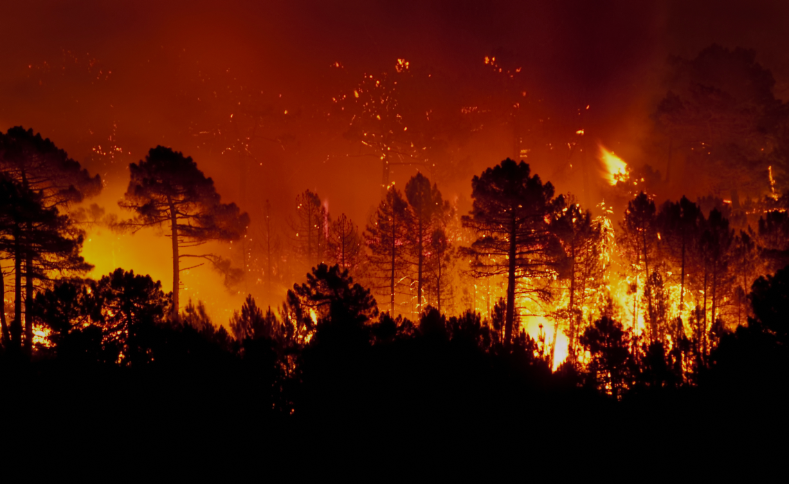 Blog Listing Image - Fire Hazard Maps and Their Critical Role in Wildfire Protection